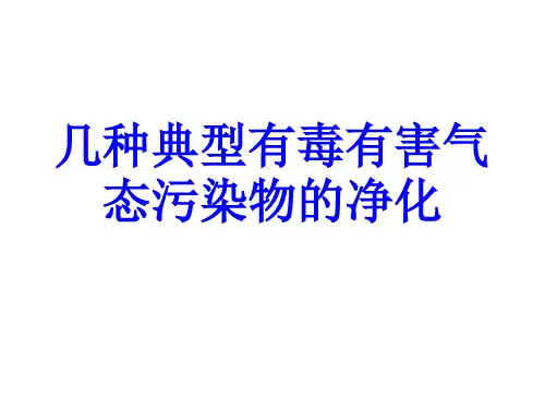 几种典型有毒有害气态污染物的净化PPT培训课件