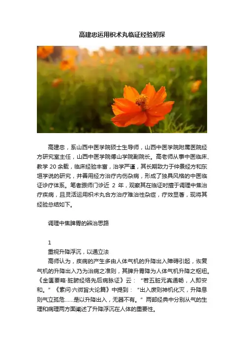 高建忠运用枳术丸临证经验初探