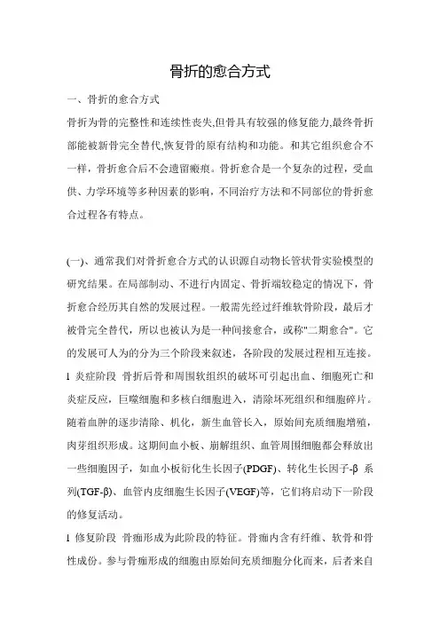 骨折的愈合方式(1)