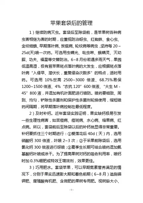 苹果套袋后的管理