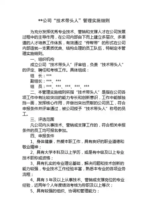 技术带头人规定