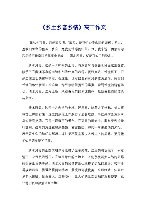 《乡土乡音乡情》高二作文