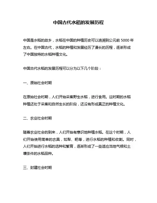 中国古代水稻的发展历程