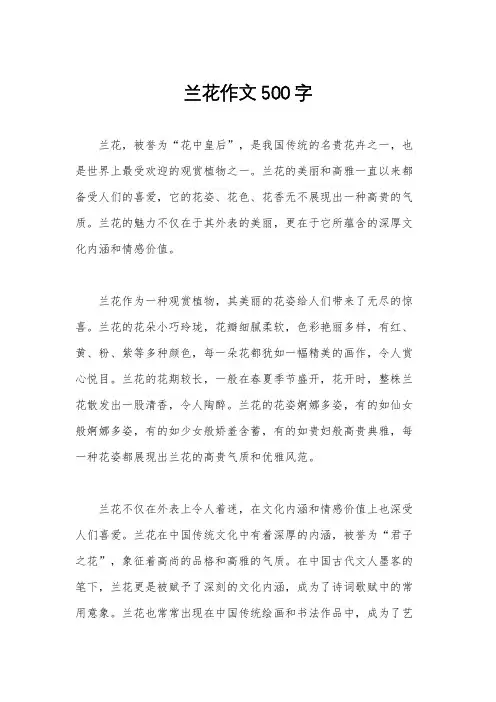 兰花作文500字