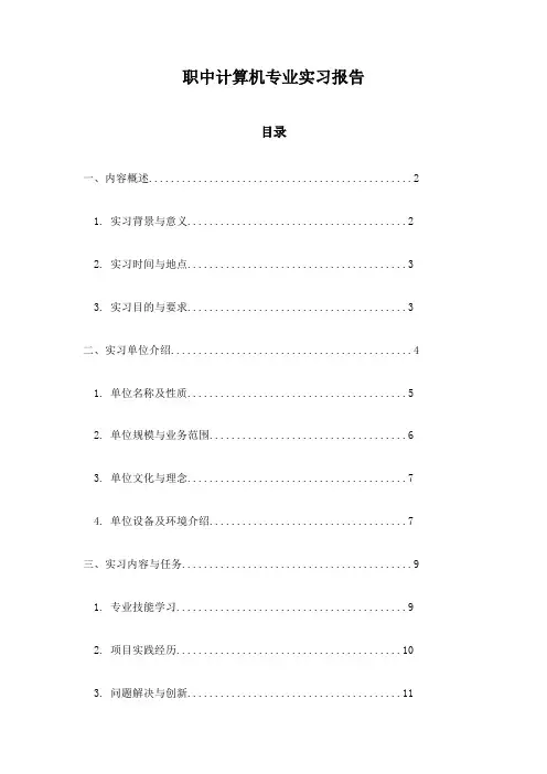 职中计算机专业实习报告