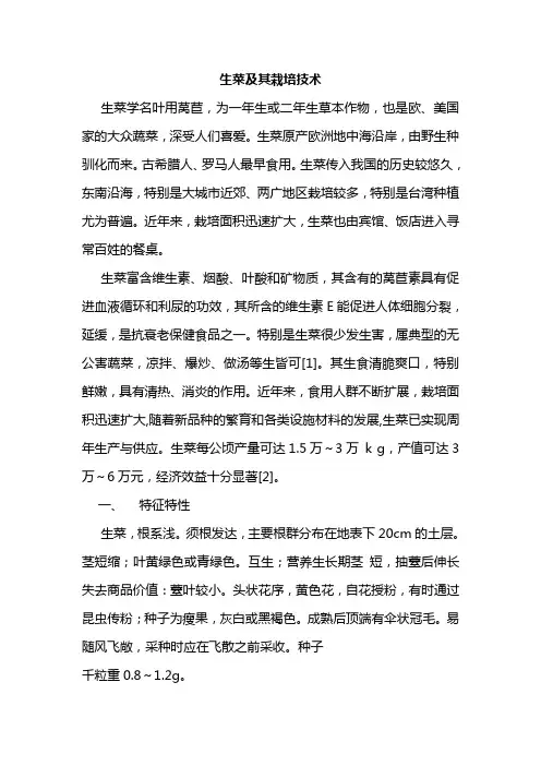 生菜无土栽培技术及技巧(详细版)