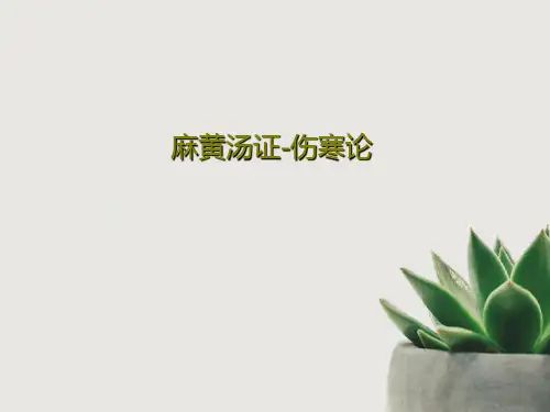 麻黄汤证-伤寒论共30页PPT