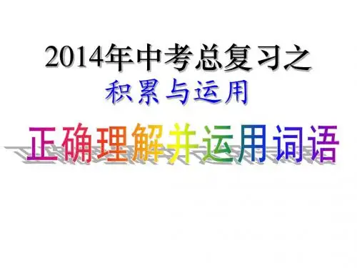 2014词语的理解和运用