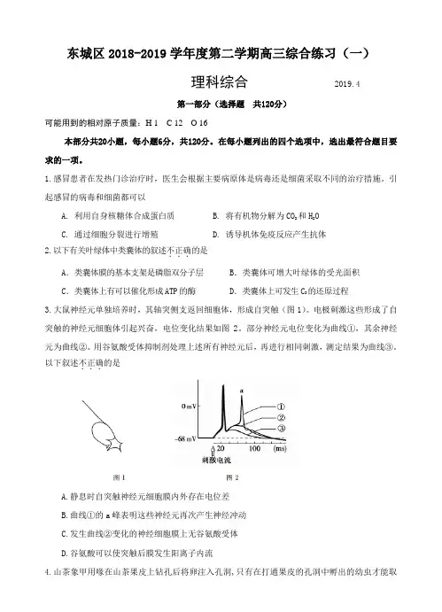 北京市东城区2019届高三4月综合练习(一模)理科综合试卷(含答案)
