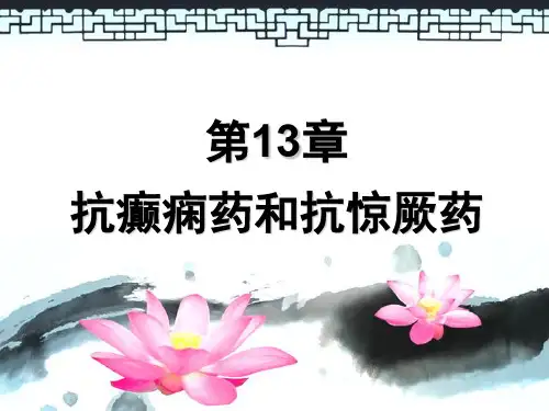 药理学13抗癫痫药和抗惊厥药