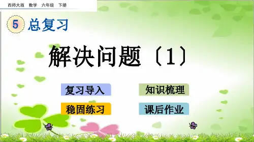 最新西师大版数学六下《解决问题》公开课课件