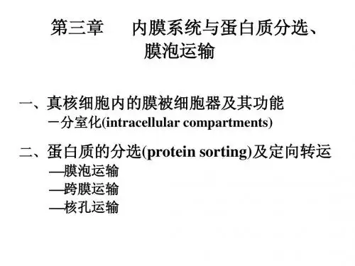 第三章 内膜系统1