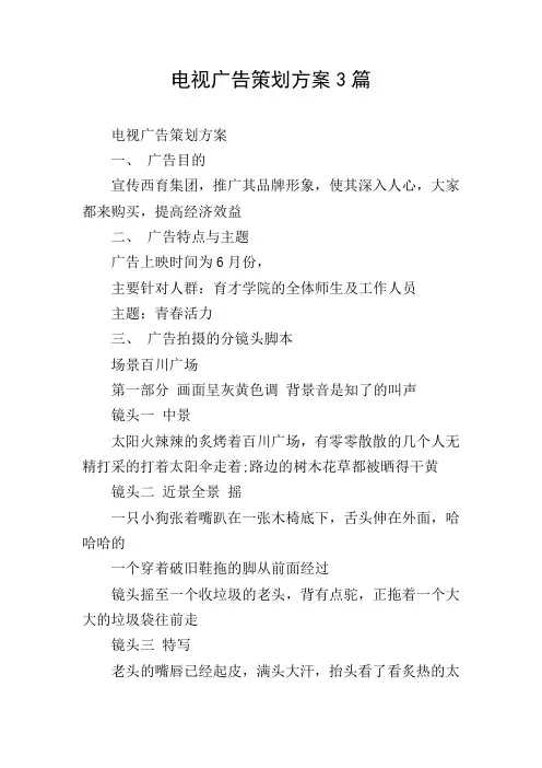 电视广告策划方案3篇