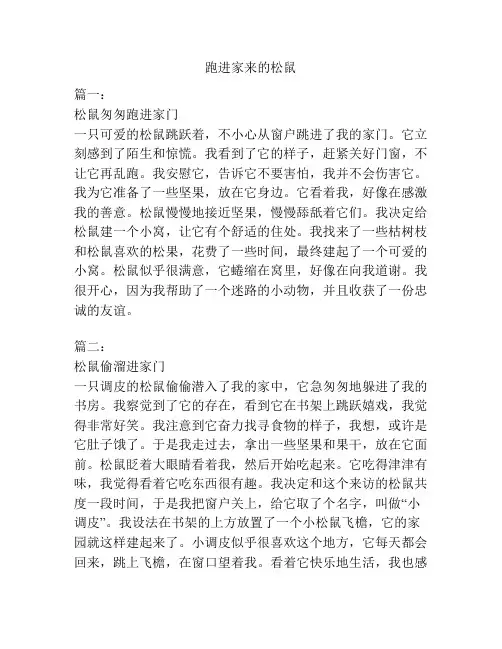 跑进家来的松鼠