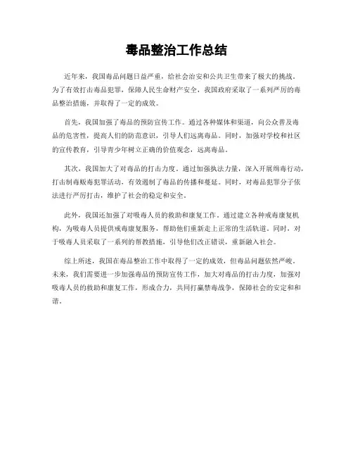 毒品整治工作总结