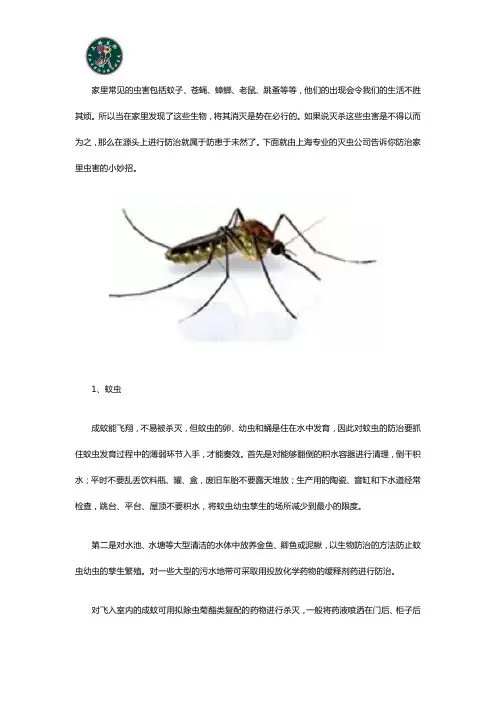 上海灭虫公司告诉你防治蜘蛛等虫害的小妙招