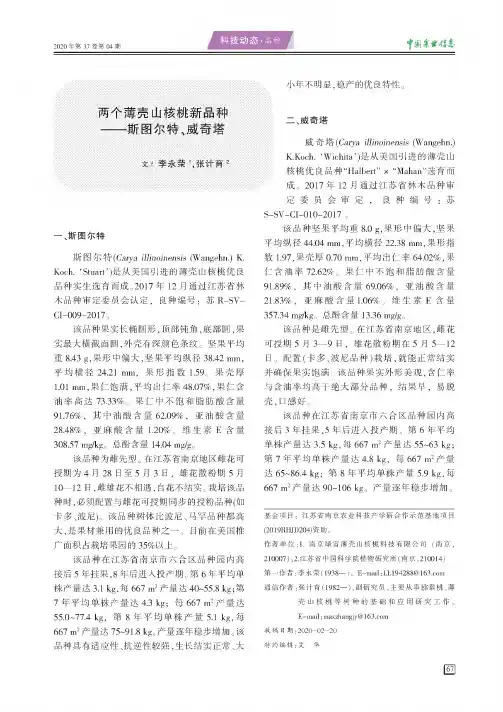 两个薄壳山核桃新品种——斯图尔特、威奇塔