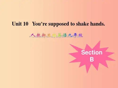 九年级英语全册 Unit 10 You’re supposed to shake hands Sec