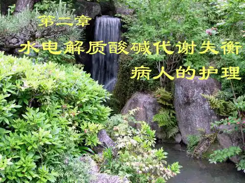 水、电解质、酸碱代谢失衡病人的护理