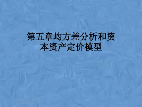第五章均方差分析和资本资产定价模型