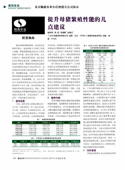 提升母猪繁殖性能的几点建议