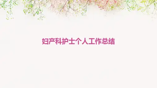 妇产科护士个人工作总结PPT