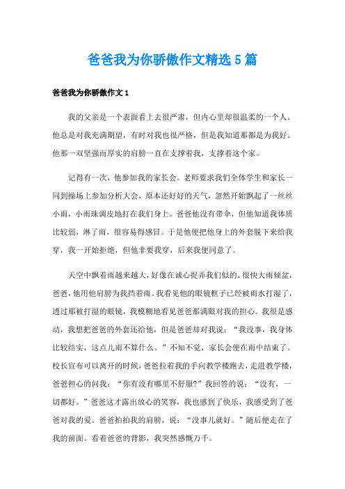 爸爸我为你骄傲作文精选5篇