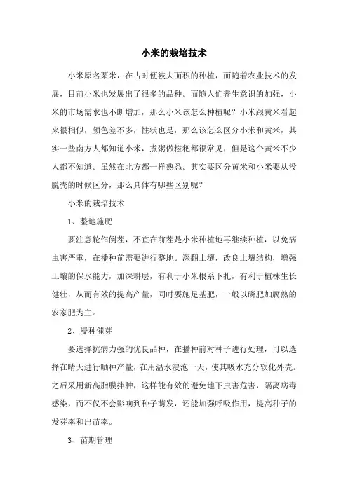 小米的栽培技术