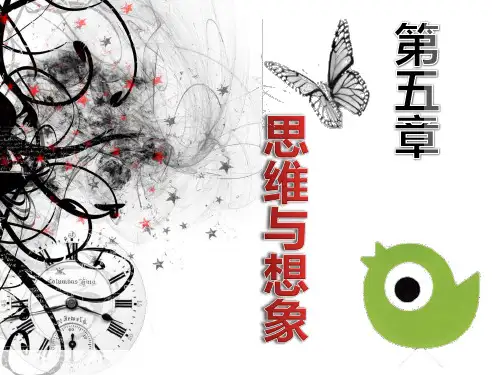 第五章 思维与想象