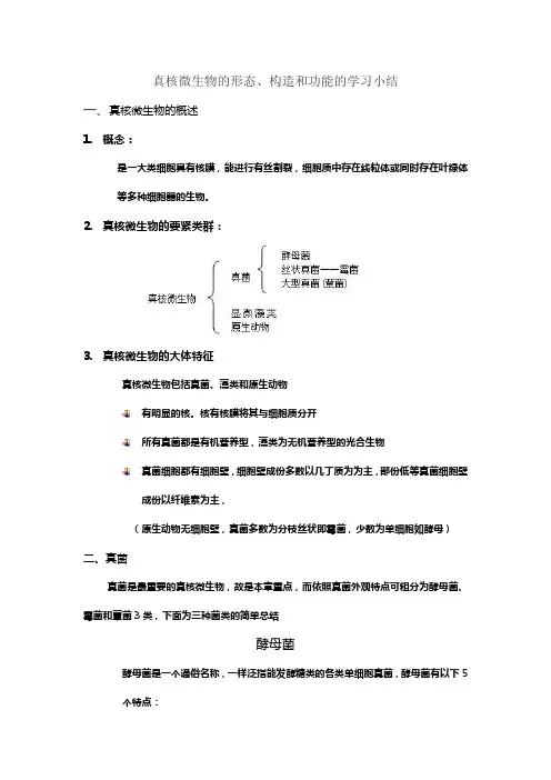 真核微生物的形态构造和功能的学习小结