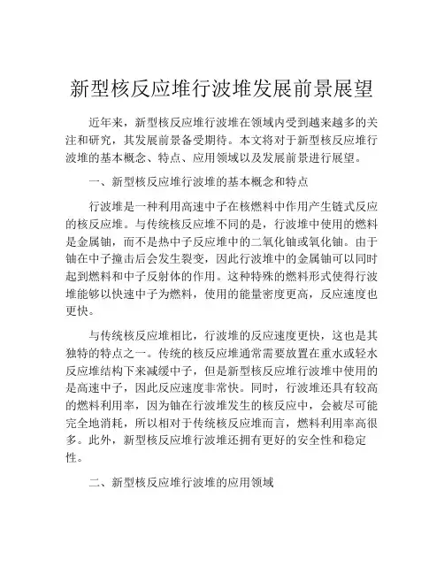 新型核反应堆行波堆发展前景展望