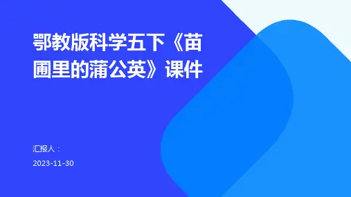 鄂教版科学五下《苗圃里的蒲公英》课件