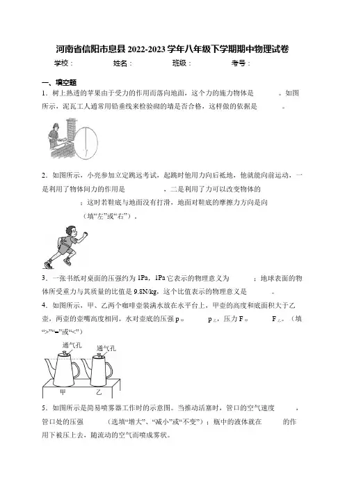 河南省信阳市息县2022-2023学年八年级下学期期中物理试卷(含答案)