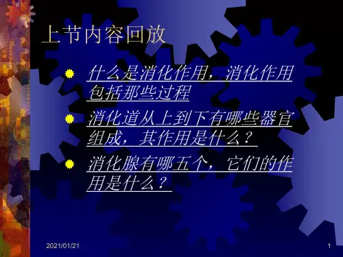 人体对食物的消化和吸收PPT教学课件