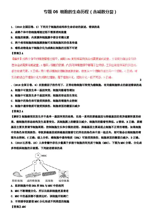 三年高考2018-2019高考生物试题分项版解析专题06细胞的生命历程含减数分裂含解析_2244