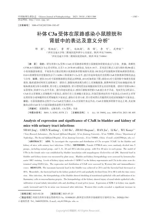 补体C3a受体在尿路感染小鼠膀胱和肾脏中的表达及意义分析