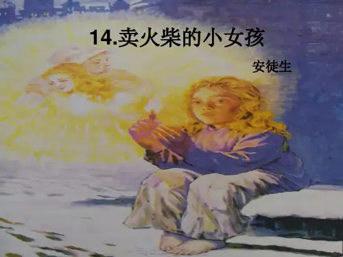 全国小学语文优质课一等奖《卖火柴的小女孩》精品课件