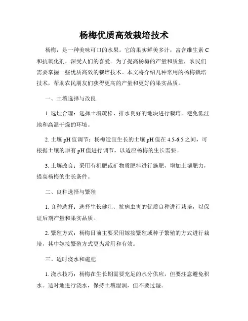 杨梅优质高效栽培技术