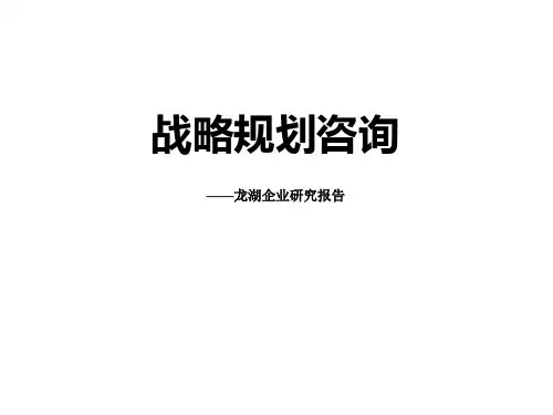 战略规划：龙湖商业模式研究