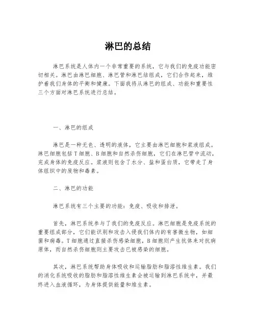 淋巴的总结