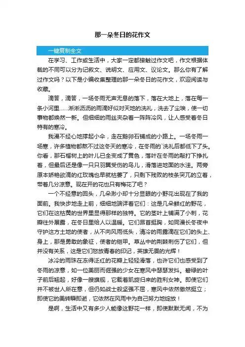 那一朵冬日的花作文