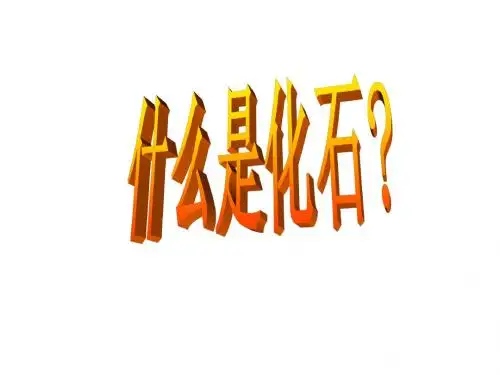 33《活化石》