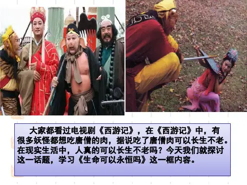 人教版《道德与法治》七年级上册课件-探问生命 (共29张PPT)
