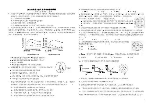 高三联考查漏补缺
