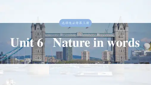 2025届高中英语一轮复习：选择性必修第三册 Unit 6   Nature in words