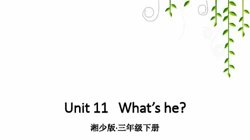 湘少版三年级英语下册Unit 11   What’s he