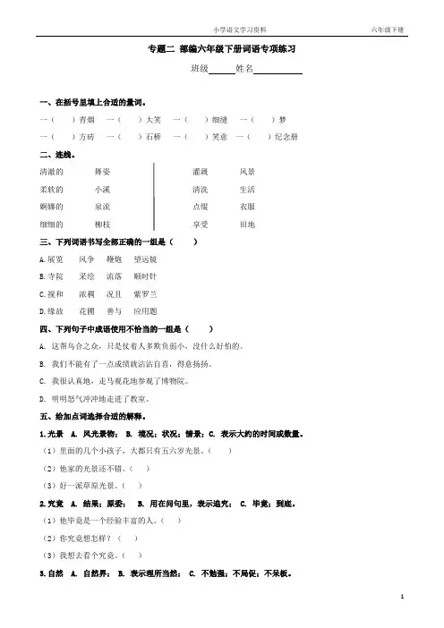 专题二 部编六年级下册词语专项练习(附答案)