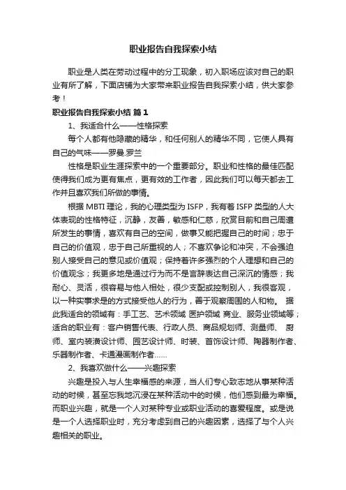 职业报告自我探索小结