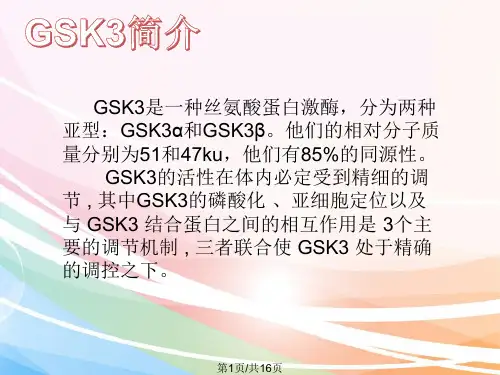 GSK3β信号简介