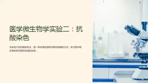 医学微生物学实验二抗酸染色